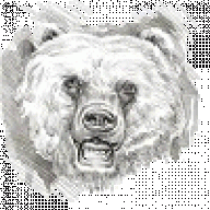 bearhntr