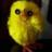 Goadlover
