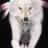 WhiteWolf