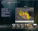 PureVision8.jpg