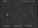 DMPS25mN30C7.jpg