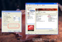 cat9.2.jpg