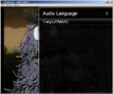Audio Language_SD TV.jpg