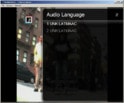 Audio Language_HD TV.jpg