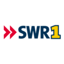SWR 1.png