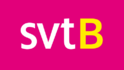 500px-SVTB_logo.png