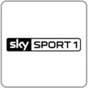 Sky Sport 1.png