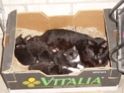 Bild 002.jpg