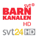 SVTB HD_SVT24 HD.png