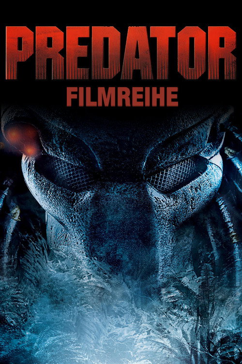 www.themoviedb.org